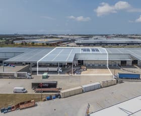 Factory, Warehouse & Industrial commercial property for lease at 2/42B William Farrior Place Eagle Farm QLD 4009