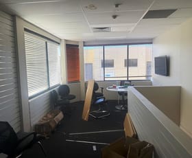 Factory, Warehouse & Industrial commercial property for lease at Brookvale NSW 2100