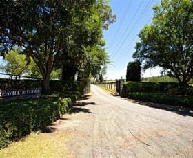 Rural / Farming commercial property for lease at 178 Hibberts Lane Freemans Reach NSW 2756