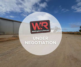 Other commercial property for lease at Shed 2/437 Chester Pass Road Warrenup WA 6330