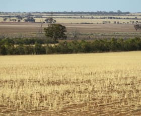 Rural / Farming commercial property sold at Nicoletti Group Merredin WA 6415