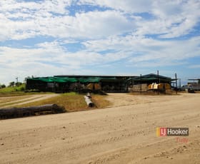 Rural / Farming commercial property for sale at 253 North Davidson Road Munro Plains QLD 4854