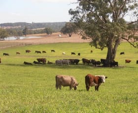 Rural / Farming commercial property sold at 221 McLean Road Birdwood SA 5234