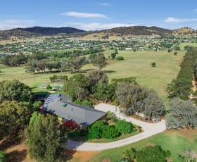 Rural / Farming commercial property sold at 259 Forest Road - 'Pearce's Paddock' Tamworth NSW 2340