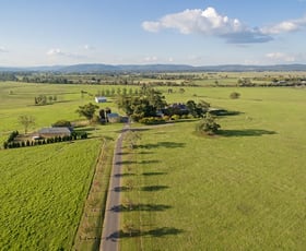 Rural / Farming commercial property sold at 378 Tocal Road Mindaribba NSW 2320