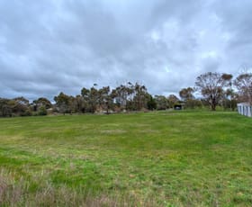 Rural / Farming commercial property sold at 218 Carngham Road Alfredton VIC 3350
