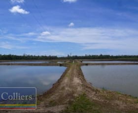Rural / Farming commercial property for sale at * Eden Road Cowley QLD 4871