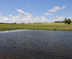 Rural / Farming commercial property sold at For Sale: Glenroy Dunedoo NSW 2844