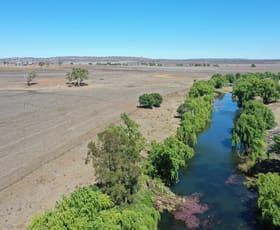 Rural / Farming commercial property for sale at 100 Years of Award Winning Yields Inverell NSW 2360