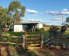 Hotel, Motel, Pub & Leisure commercial property sold at Charleville QLD 4470