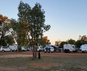 Hotel, Motel, Pub & Leisure commercial property sold at Charleville QLD 4470