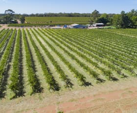 Rural / Farming commercial property sold at 60 Stringer Road Leeton NSW 2705