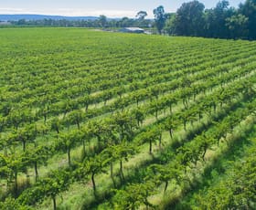 Rural / Farming commercial property sold at 60 Stringer Road Leeton NSW 2705