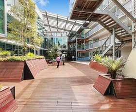 Offices commercial property leased at 237/117 Old Pittwater Road Brookvale NSW 2100