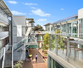 Offices commercial property leased at 237/117 Old Pittwater Road Brookvale NSW 2100