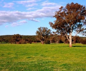 Rural / Farming commercial property sold at 2242 Nangar Road Canowindra NSW 2804