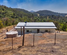 Rural / Farming commercial property sold at 802 Bakers Creek Rd Bakers Creek NSW 2359
