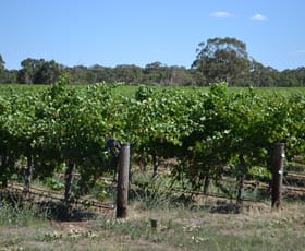 Rural / Farming commercial property sold at 364 Bool Lagoon West Road Bool Lagoon SA 5271