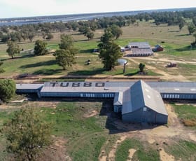 Rural / Farming commercial property sold at 14070 Sturt Highway Darlington Point NSW 2706