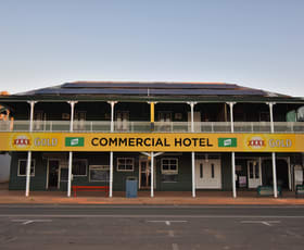 Hotel, Motel, Pub & Leisure commercial property sold at 119-123 Oak Street Barcaldine QLD 4725