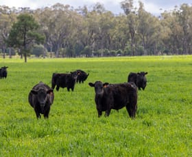Rural / Farming commercial property sold at Lindesay NSW 2347
