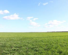 Rural / Farming commercial property sold at 375 McRaes Road Goolgowi NSW 2652
