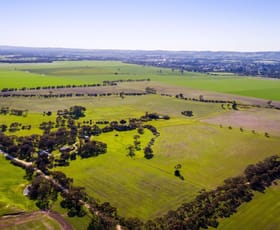 Grazing commercial property sold at 82 Fromm Road Tanunda SA 5352