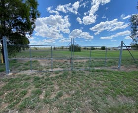 Development / Land commercial property sold at 142 Roma Downs Road Roma QLD 4455