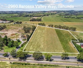 Other commercial property for sale at 2960 Barossa Valley Way + Siegersdorf & Light Pass Road Tanunda SA 5352