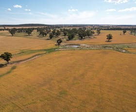 Development / Land commercial property for sale at 1610 Goldfields Way Temora NSW 2666