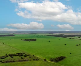Rural / Farming commercial property sold at 2293 Mallee Highway Sherlock SA 5301