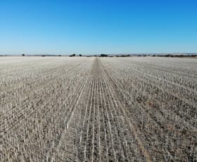 Rural / Farming commercial property sold at Lot 519 Nine Mile Road Angas Plains SA 5255