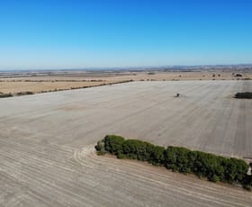 Rural / Farming commercial property sold at Lot 519 Nine Mile Road Angas Plains SA 5255