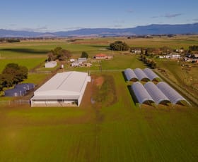 Rural / Farming commercial property sold at TAS