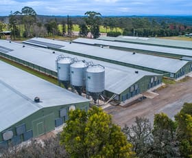 Rural / Farming commercial property sold at 211 Blood Tree Road Mangrove Mountain NSW 2250