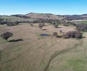 Rural / Farming commercial property sold at Talbragar, Bogolara Road Bookham NSW 2582