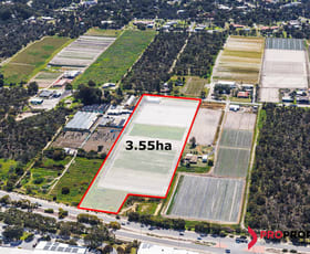 Rural / Farming commercial property sold at 246 Mary Street Wanneroo WA 6065