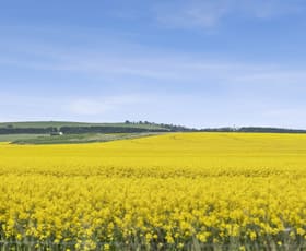 Rural / Farming commercial property for lease at Ballan Cropping Aggregation Geelong-Ballan Road Ballan VIC 3342