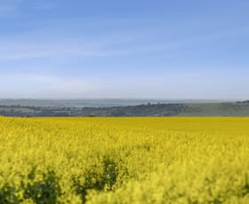 Rural / Farming commercial property for lease at Ballan Cropping Aggregation Geelong-Ballan Road Ballan VIC 3342