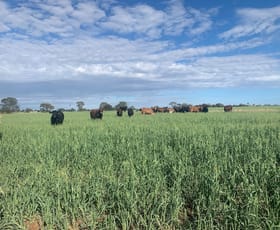 Rural / Farming commercial property sold at 1 Stuart's Creek Road Orallo QLD 4455