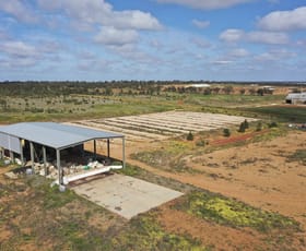 Rural / Farming commercial property for sale at Murrami NSW 2705