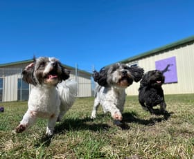 Other commercial property sold at Doggy Daycare Centre Wollongong NSW 2500