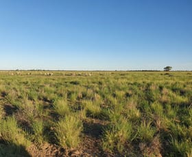 Rural / Farming commercial property for sale at Tarwoona Downs, 1906 Burrawantie Road Enngonia NSW 2840