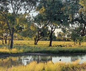 Rural / Farming commercial property for sale at Tarwoona Downs, 1906 Burrawantie Road Enngonia NSW 2840