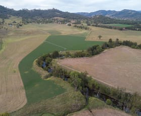 Rural / Farming commercial property sold at Northcotte, 3101 Back Woolomin Road Woolomin NSW 2340
