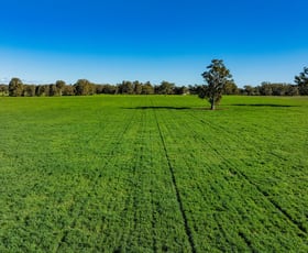Rural / Farming commercial property for sale at 126 Kneebones Road Wagga Wagga NSW 2650
