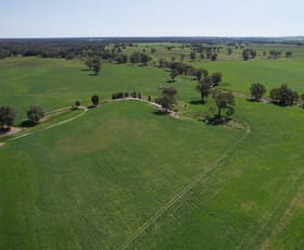Rural / Farming commercial property for sale at Dun-Ura, 126 Kneebones Road Wagga Wagga NSW 2650