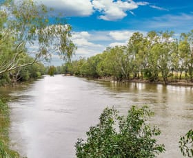 Rural / Farming commercial property for sale at 126 Kneebones Road Wagga Wagga NSW 2650