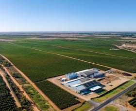 Rural / Farming commercial property for sale at 837 Bookpurnong Road Bookpurnong SA 5333