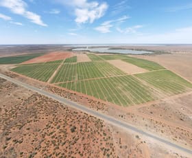 Rural / Farming commercial property for sale at 340 West Wilcannia Road Menindee NSW 2879
